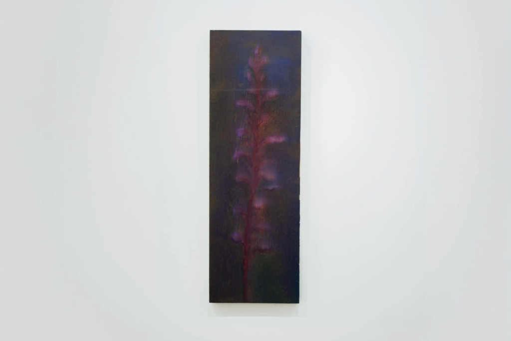 Painting Series by Maria Luz
