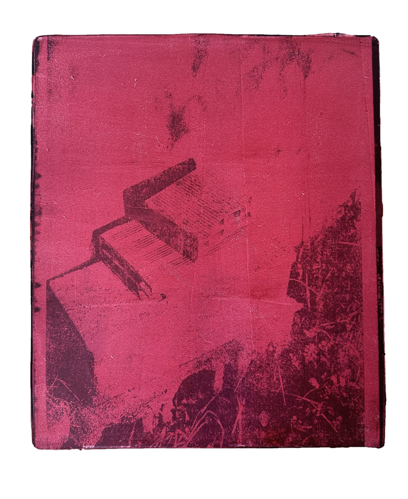 Pink Bricks